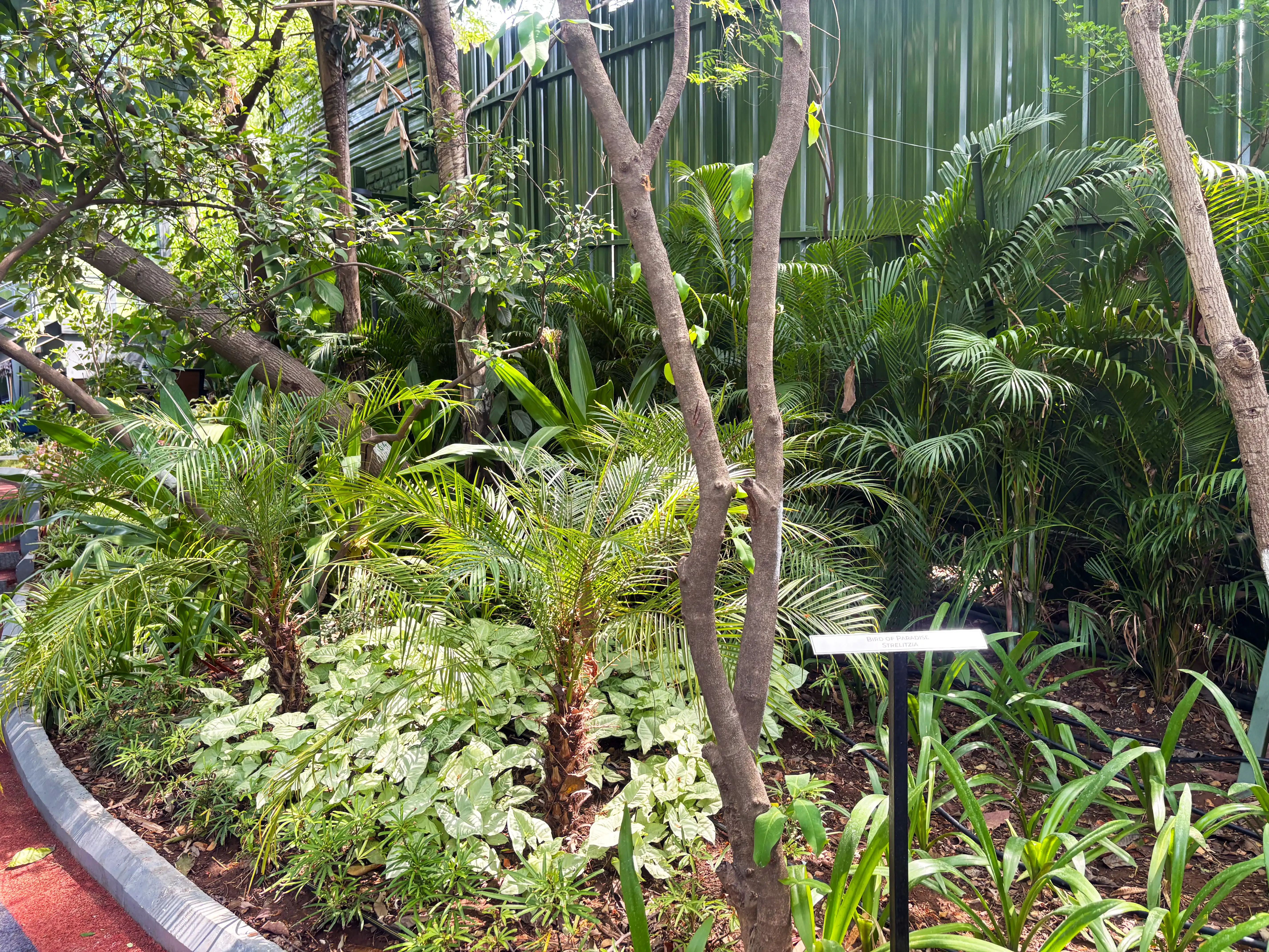 Tranquil — Plant stake wide