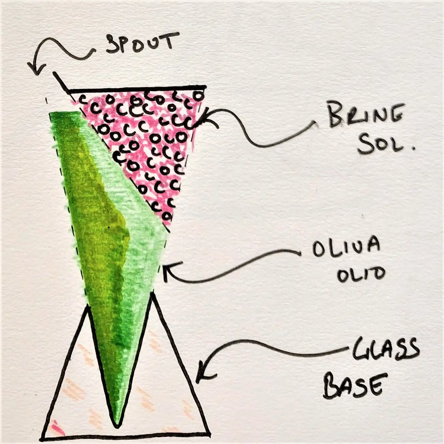 Oliva Olio — Sketch